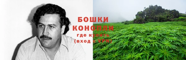 ECSTASY Липки