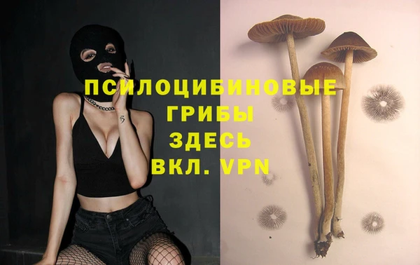 ECSTASY Липки