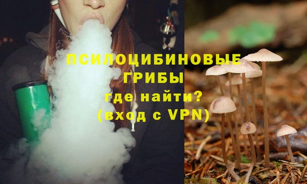 ECSTASY Липки