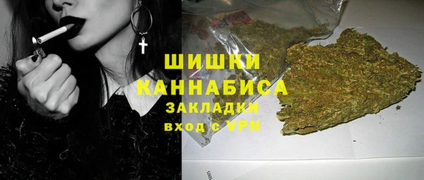 эйфоретик Майский